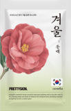 Маска для лица зимняя камелия, 25 мл — PrettySkin Mask Pack Hankook Winter
